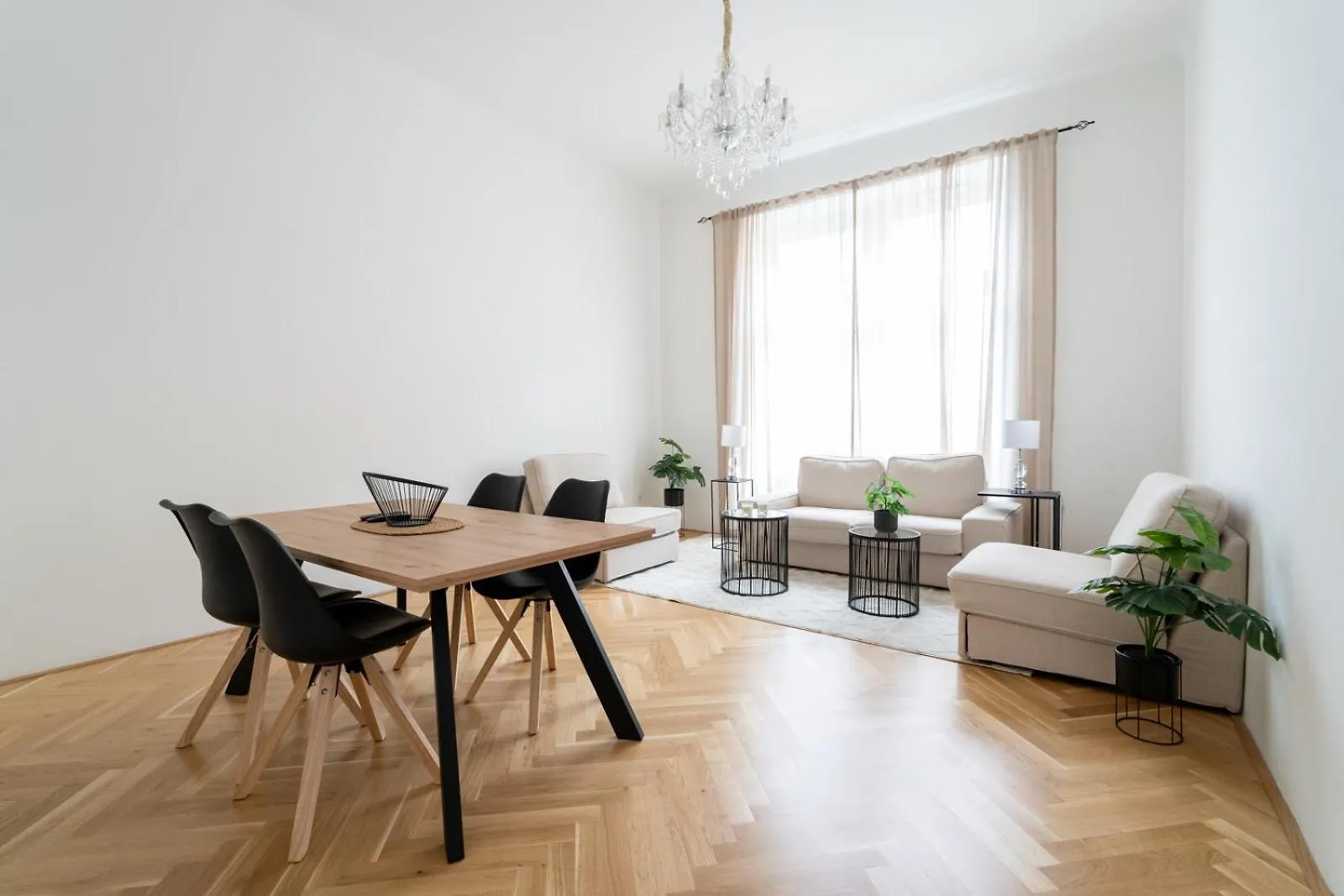 Luxurious Viennese Old Style Apartment location