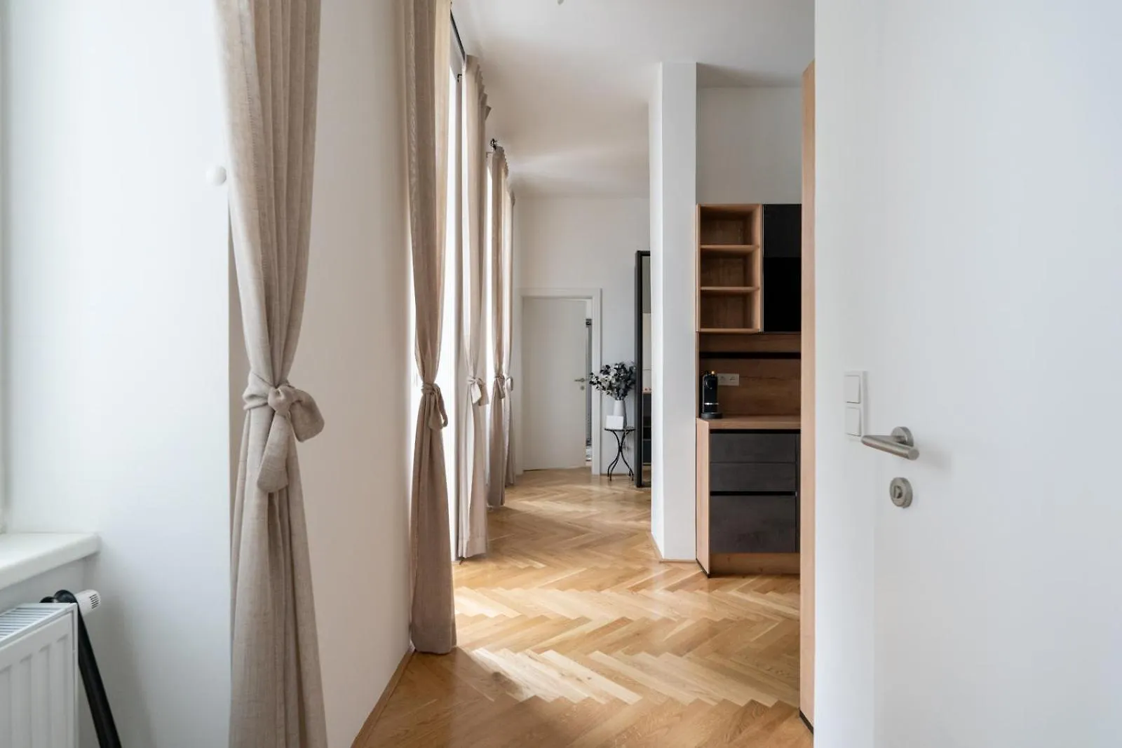 Luxurious Viennese Old Style Apartment Vienna