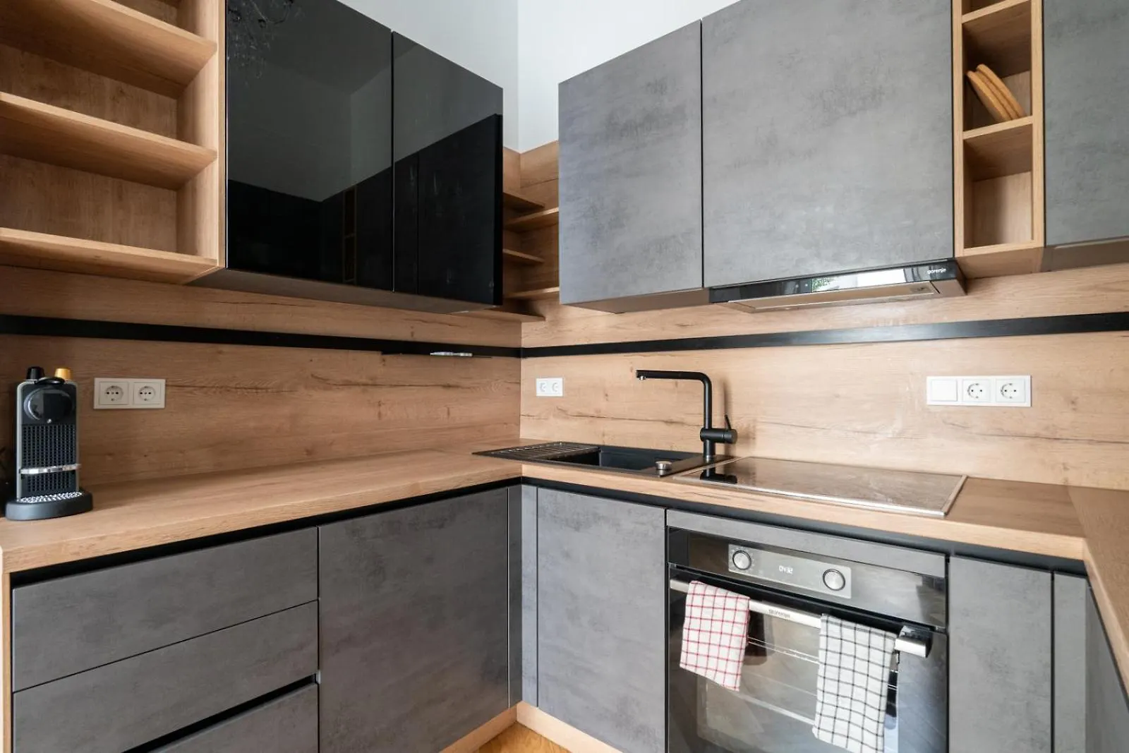 Luxurious Viennese Old Style Apartment