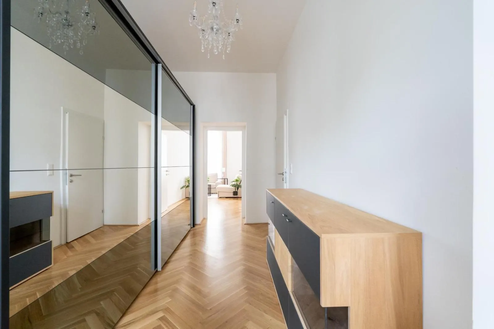 Luxurious Viennese Old Style Apartment