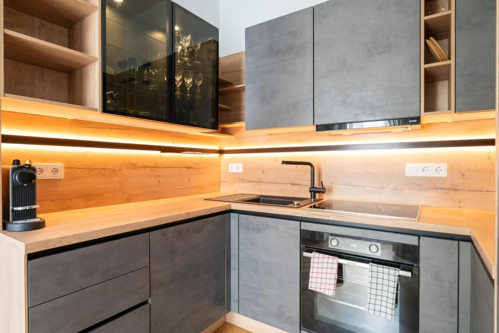 Luxurious Viennese Old Style Apartment Austria