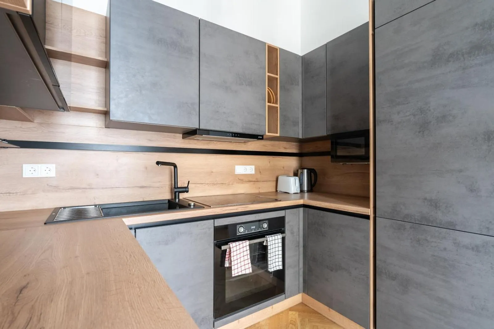 Luxurious Viennese Old Style Apartment
