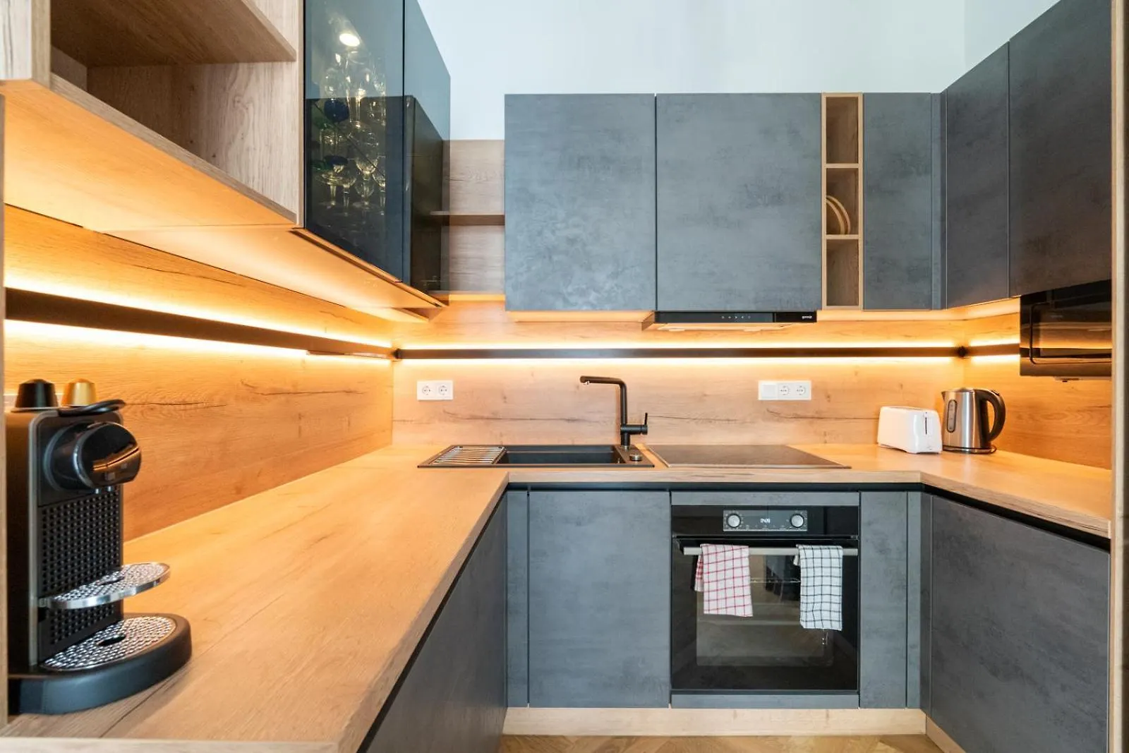 Luxurious Viennese Old Style Apartment Vienna
